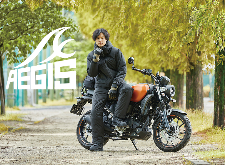 AEGIS（イージス）